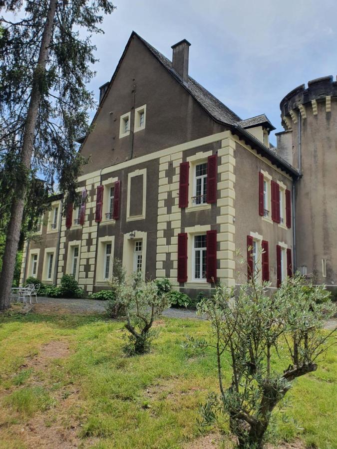 Chateau De Viviez المظهر الخارجي الصورة